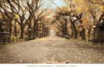 Central Park by Tim Wampler