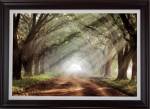 Evergreen Plantation by Mike Jones